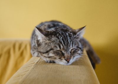Don’t Miss These Key Signs of Disrupted Sleep Stages